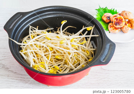 鍋と子大豆もやし 123005780