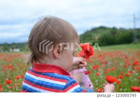 Little boy and a field of wild red poppies Little boy and a field of wild red poppies 123005795