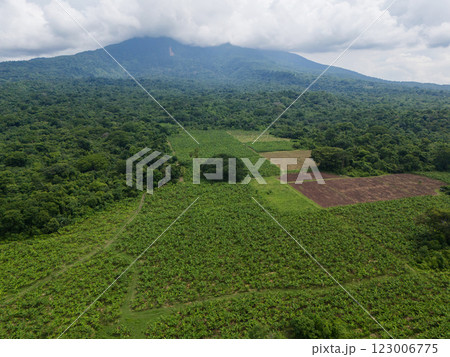Farm field on natural green volcano Farm field on natural green volcano 123006775