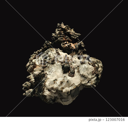 Close-Up View of Native Silver on Calcite Mineral Specimen 123007016