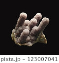Detailed Close-Up View of Beautiful Quartz Amethyst Crystal Specimen on Dark Background 123007041