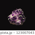 Detailed Close-Up View of Beautiful Purple Quartz Amethyst Crystal Specimen on Dark Background 123007043