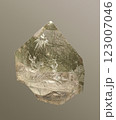 Detailed Close-Up View of Intricately Carved Quartz from the Alps Depicting Historical Scene on Light Background 123007046