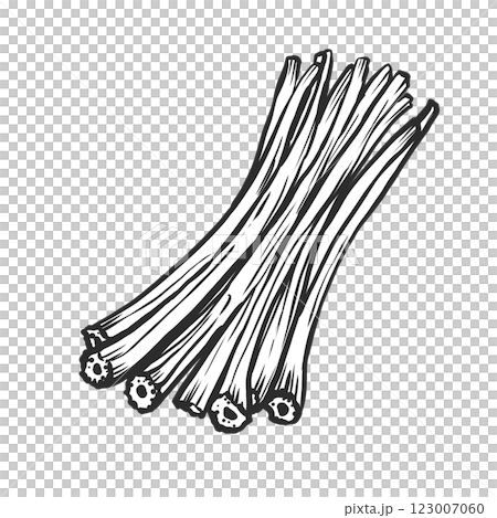 手繪畫筆風格的款冬插圖 123007060