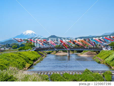 平塚市岡崎のこいのぼり祭りで川を渡る鯉のぼりの向こうに富士山が見える風景 123007190