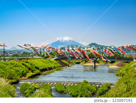 平塚市岡崎の鈴川鯉のぼりまつりで川を渡る鯉のぼりの向こうに富士山が見える風景 平塚市岡崎の鈴川鯉のぼりまつりで川を渡る鯉のぼりの向こうに富士山が見える風景 123007191