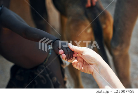 Touching hands, greetings gesture. Tourists is in Namibia with African kids 123007459
