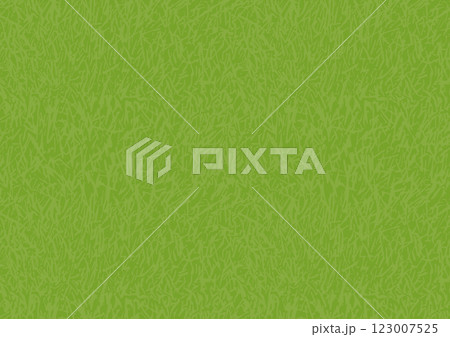 芝生のイメージのシームレスな背景（黄緑） 123007525