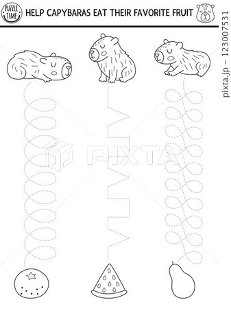 Vector black and white handwriting practice worksheet with capybaras, tangerine. Printable line activity for preschool kids with animals. Tracing game, coloring page. Help capibaras eat favorite Vector black and white handwriting practice worksheet with capybaras, tangerine. Printable line activity for preschool kids with animals. Tracing game, coloring page. Help capibaras eat favorite 123007531