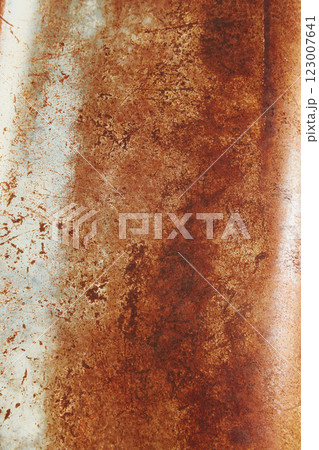 Close up view of rusty surface 123007641