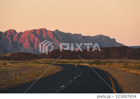 Majestic landscaped view of road in Africa, Namibia 123007654