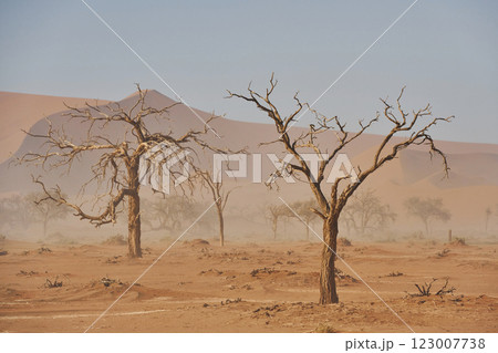 Large distance. Majestic view of amazing landscapes in African desert 123007738