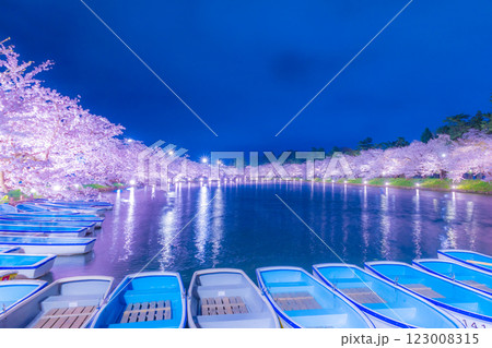 美しい弘前の夜桜 美しい弘前の夜桜 123008315