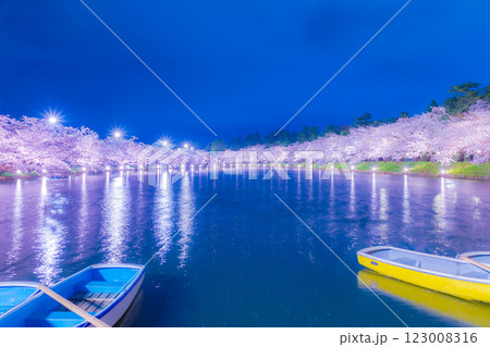 美しい弘前の夜桜 123008316