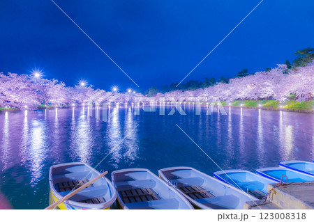 美しい弘前の夜桜 123008318