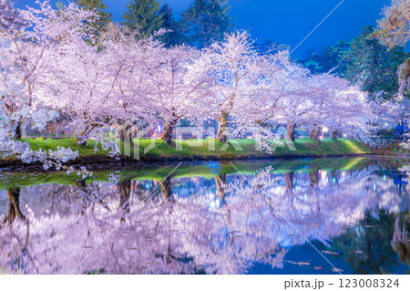 美しい弘前の夜桜 123008324