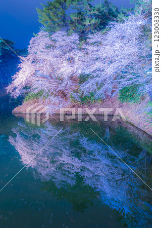 美しい弘前の夜桜 美しい弘前の夜桜 123008330