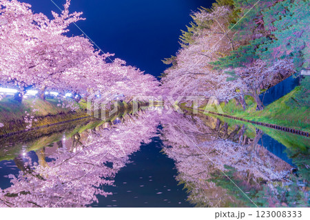 美しい弘前の夜桜 123008333