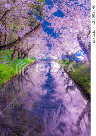 美しい弘前の夜桜 美しい弘前の夜桜 123008340