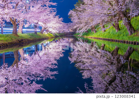 美しい弘前の夜桜 美しい弘前の夜桜 123008341