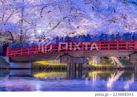 美しい弘前の夜桜 123008343