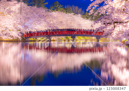 美しい弘前の夜桜 123008347