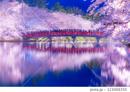 美しい弘前の夜桜 美しい弘前の夜桜 123008350
