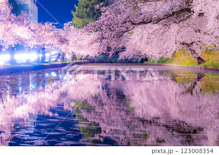 美しい弘前の夜桜 123008354
