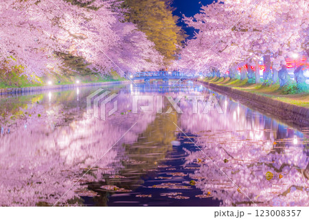 美しい弘前の夜桜 123008357