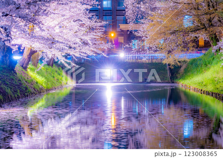 美しい弘前の夜桜 123008365