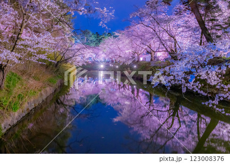 美しい弘前の夜桜 123008376