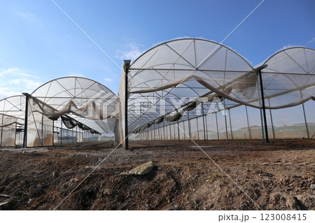 Greenhouses in agricultural landscape. Mediterranean agriculture, growing vegetables, fruits, flowers and other types of plants in greenhouses. 123008415