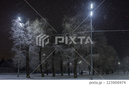 Snowy Night Park Snowy Night Park 123008974