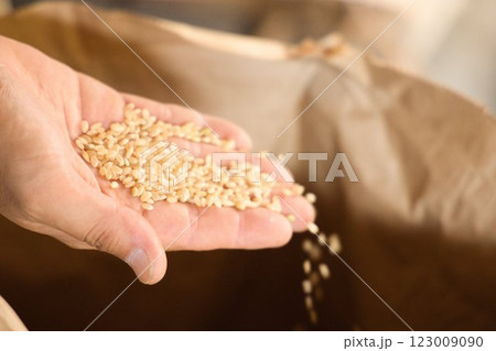 お米はみんなの宝物、日本人の主食なんです お米はみんなの宝物、日本人の主食なんです 123009090