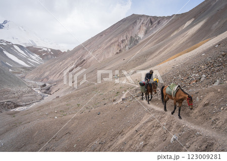 Horses loaded with cargo walking on the side of the mountain, Pamir mountains, Kyrgyzstan 123009281