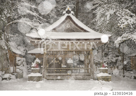 貴船神社　厳冬の中の奥宮5 123010416
