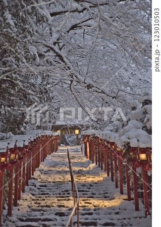 貴船神社　雪化粧した参道の春日灯籠4 123010503
