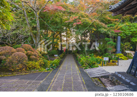 浜松市にある紅葉の色付き始めた龍潭寺の参道の風景(静岡県) 浜松市にある紅葉の色付き始めた龍潭寺の参道の風景(静岡県) 123010686