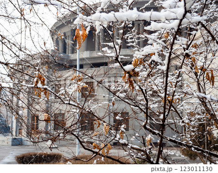 snow on tree and Yerevan Opera in background snow on tree and Yerevan Opera in background 123011130