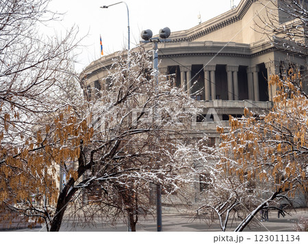 snow-covered trees in town park Yerevan Opera snow-covered trees in town park Yerevan Opera 123011134