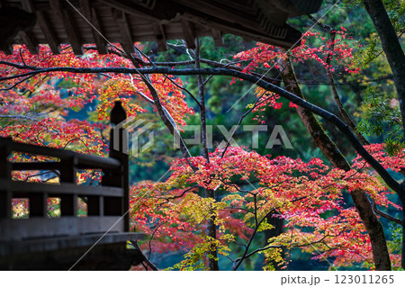 【第八十八番札所】大窪寺の紅葉【四国八十八箇所】 【第八十八番札所】大窪寺の紅葉【四国八十八箇所】 123011265