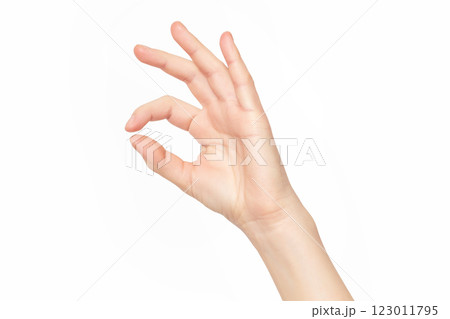 Closeup female hand making OK gesture isolated at white background. Closeup female hand making OK gesture isolated at white background. 123011795