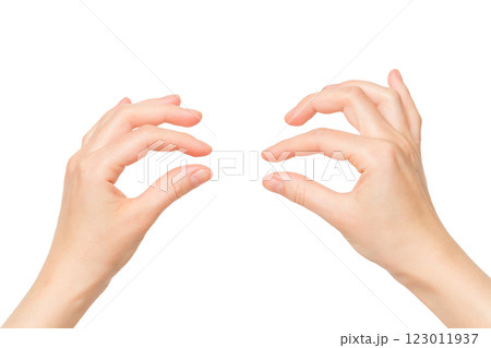 Female hands holding invisible object isolated at white background. Female hands holding invisible object isolated at white background. 123011937