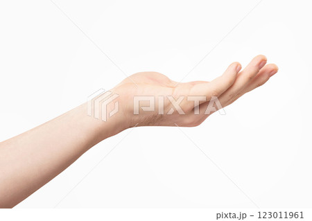 Closeup empty male hand making holding gesture isolated at white background. Closeup empty male hand making holding gesture isolated at white background. 123011961