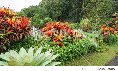 Water Palace Tirta Ganga in Bali Island, Indonesia Water Palace Tirta Ganga in Bali Island, Indonesia 123012000