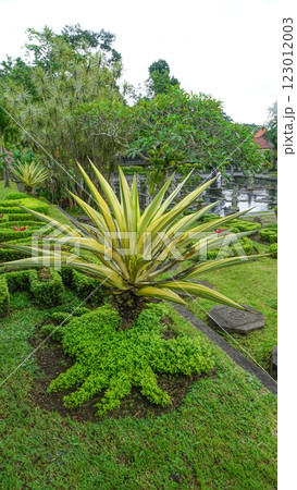 Water Palace Tirta Ganga in Bali Island, Indonesia 123012003