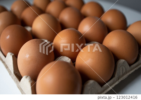 Chicken eggs in a paper tray close up Chicken eggs in a paper tray close up 123012416