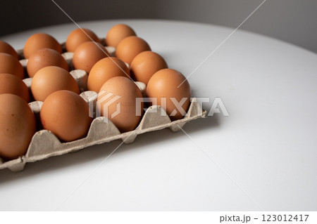 Chicken eggs in a paper tray side view with white background Chicken eggs in a paper tray side view with white background 123012417