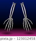 Two skeletal forearms with detailed hands are depicted against a gradient background transitioning from dark blue to magenta.  Two skeletal forearms with detailed hands are depicted against a gradient background transitioning from dark blue to magenta.  123012458