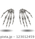 Two skeletal hands are displayed side by side against a plain white background, each exhibiting detailed bone structure.  Two skeletal hands are displayed side by side against a plain white background, each exhibiting detailed bone structure.  123012459